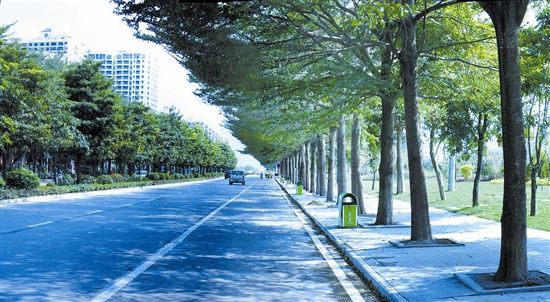 崖州灣科技城研學(xué)大道A段道路工程項目EPC、監(jiān)理
