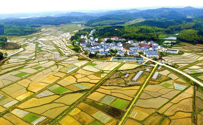 西安市臨潼區(qū)農(nóng)村“房地一體”宅基地和集體建設(shè)用地不動(dòng)產(chǎn)權(quán)籍調(diào)查牽頭服務(wù)采購(gòu)項(xiàng)目、地權(quán)籍調(diào)查服務(wù)采購(gòu)項(xiàng)目
