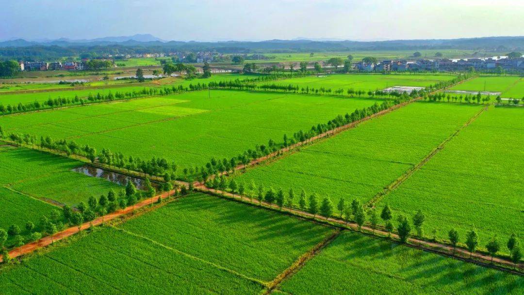 扶風(fēng)縣2014年高標(biāo)準(zhǔn)基本農(nóng)田建設(shè)項目（一標(biāo)段）扶風(fēng)天度鎮(zhèn)南陽村等6個村高標(biāo)準(zhǔn)基本農(nóng)田建設(shè)項目