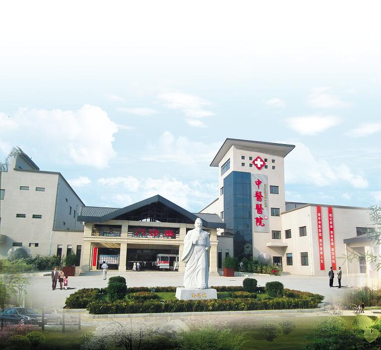 大荔縣中醫(yī)醫(yī)院醫(yī)養(yǎng)項(xiàng)目