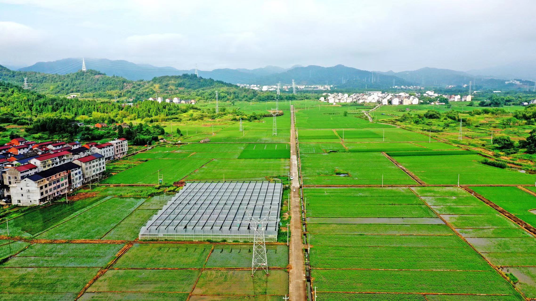 長(zhǎng)武縣巨家鎮(zhèn)2020年中央預(yù)算內(nèi)高標(biāo)準(zhǔn)農(nóng)田建設(shè)項(xiàng)目監(jiān)理一標(biāo)段