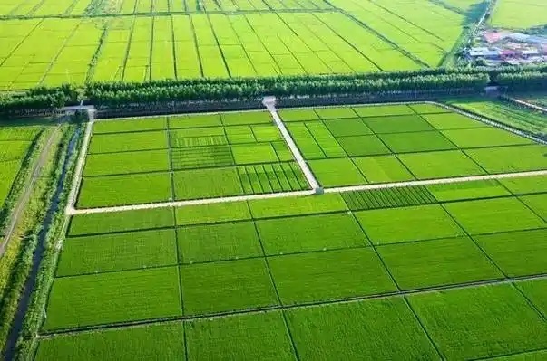 張家口市宣化區(qū)2019 年高標(biāo)準(zhǔn)農(nóng)田建設(shè)項(xiàng)目監(jiān)理第三標(biāo)段